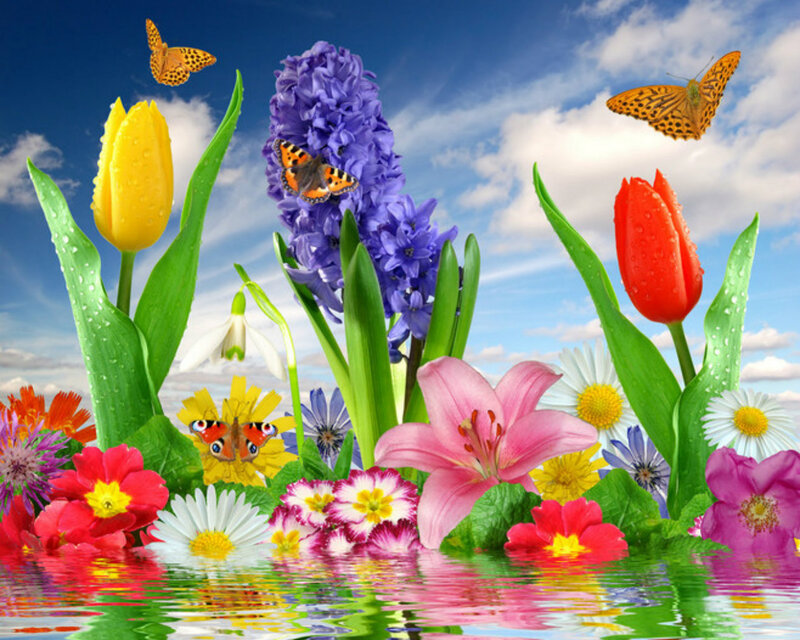 Butterflies Among Spring Flowers — Blue
