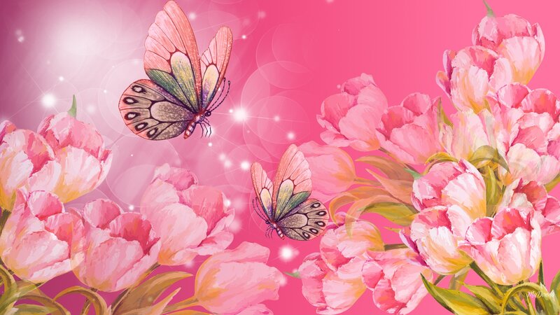 Butterflies Among Tulips — Pink