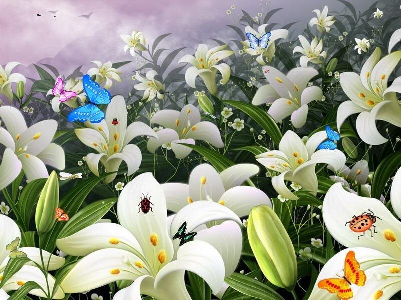 butterflies among white lilies