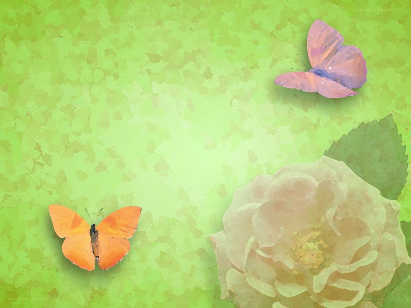 butterflies and a flower