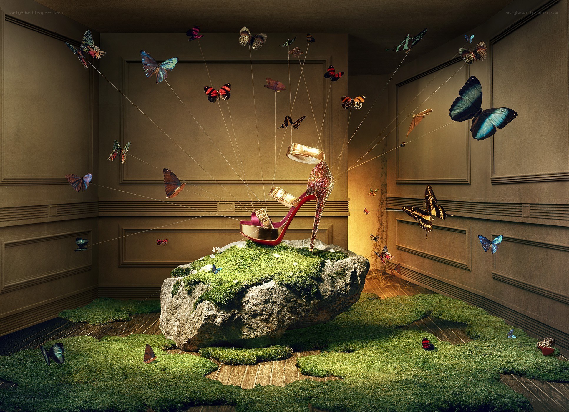 butterflies and a high heel