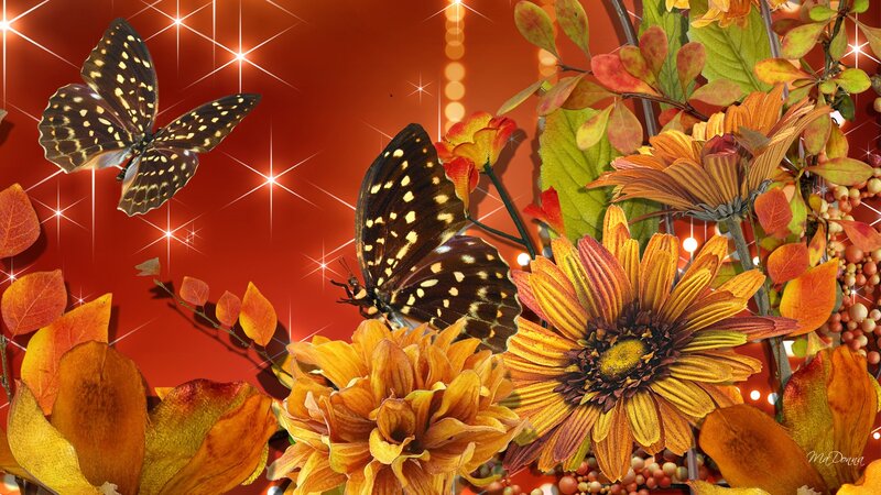 Butterflies and Autumn Flowers — Orange