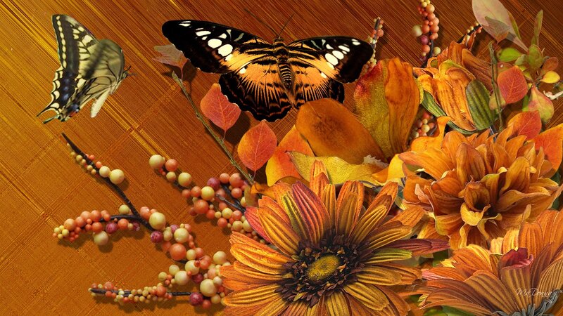 Butterflies and Autumn Flowers