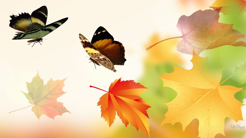 Butterflies and Autumn Leaves — Orange
