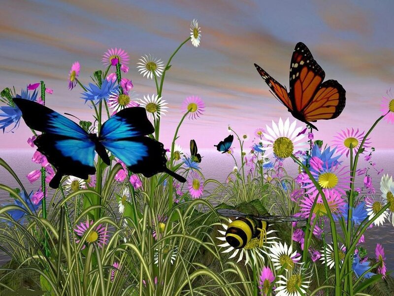 butterflies and bees in a flower field