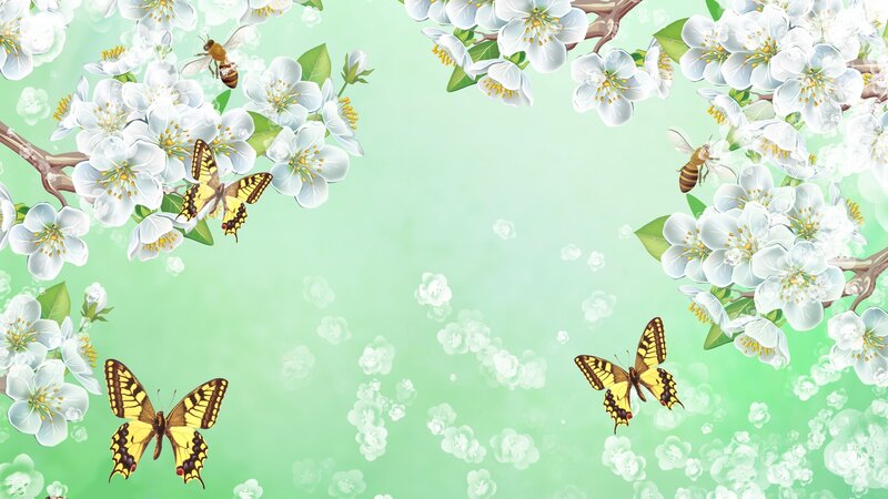 Butterflies and Bees on Blossoms