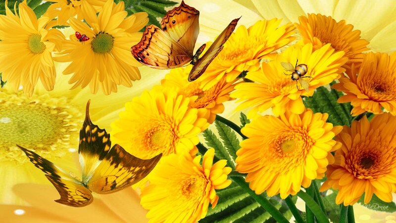 Butterflies and Bees on Flowers — Yellow