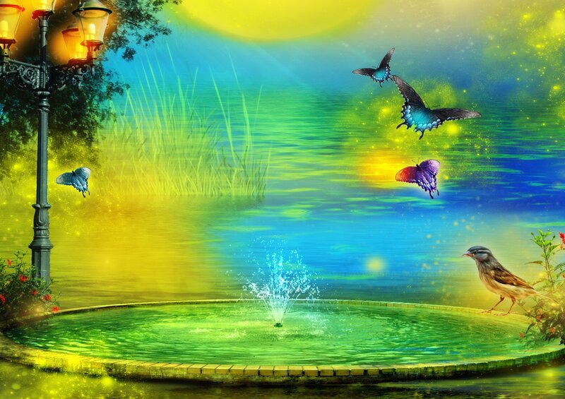 Butterflies and Bird by Fountain