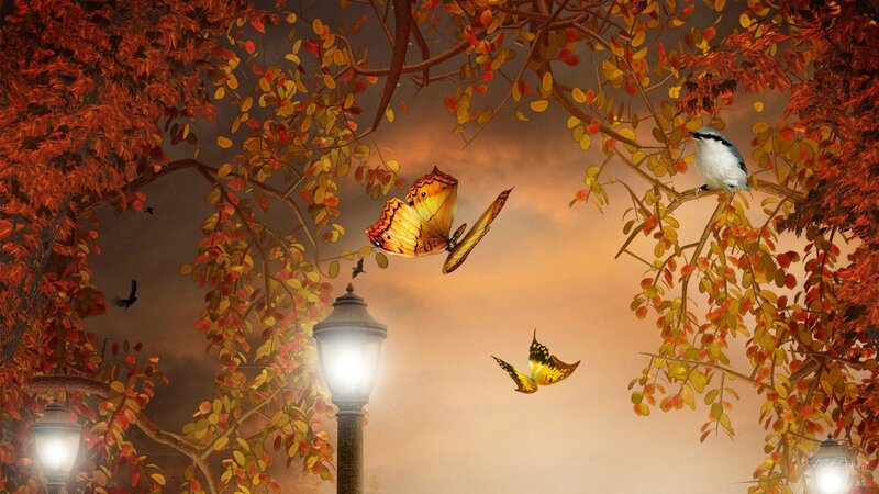 Butterflies and Birds in Autumn