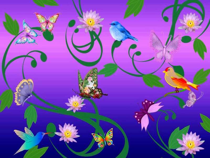 Butterflies and Birds — Purple