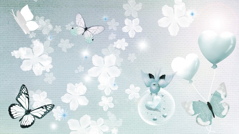 Butterflies and Birds