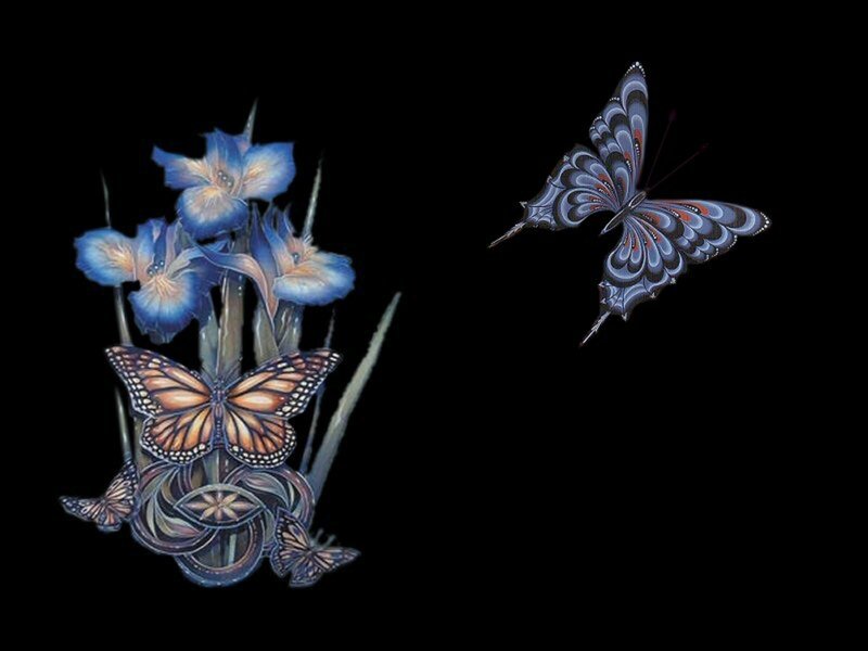 Butterflies and Blue Flowers — Dramatic