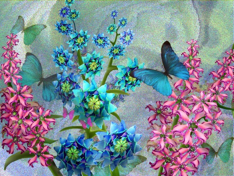 butterflies and colorful flowers