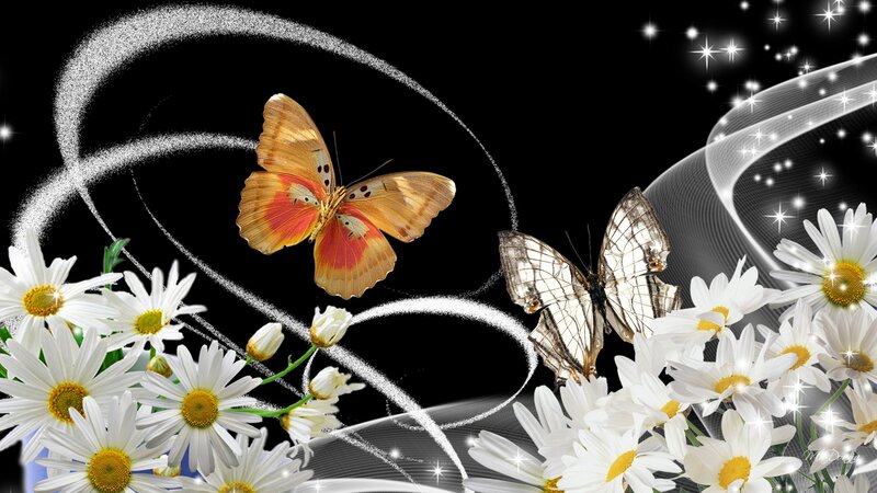 Butterflies and Daisies — Black