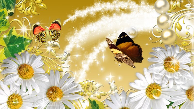 Butterflies and Daisies — Gold