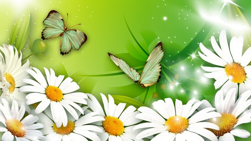 Butterflies and Daisies — Green