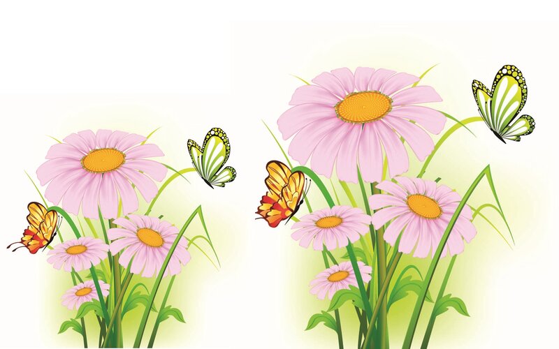 Butterflies and Daisies — Pink