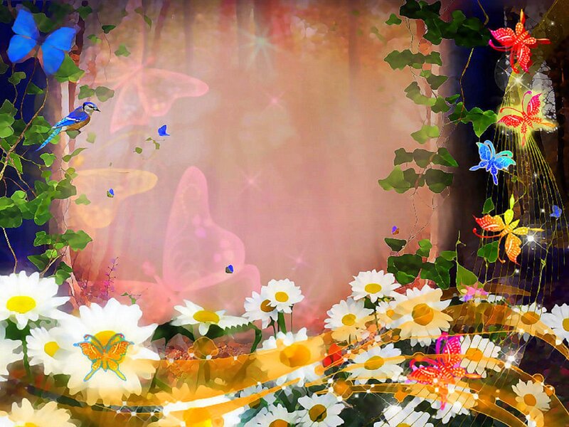 Butterflies and Daisies — White