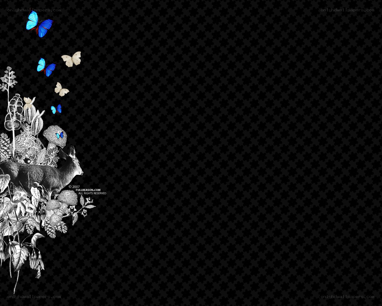 butterflies and deer collage