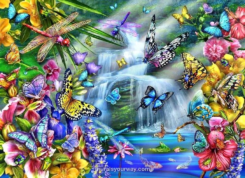 Butterflies and Dragonflies