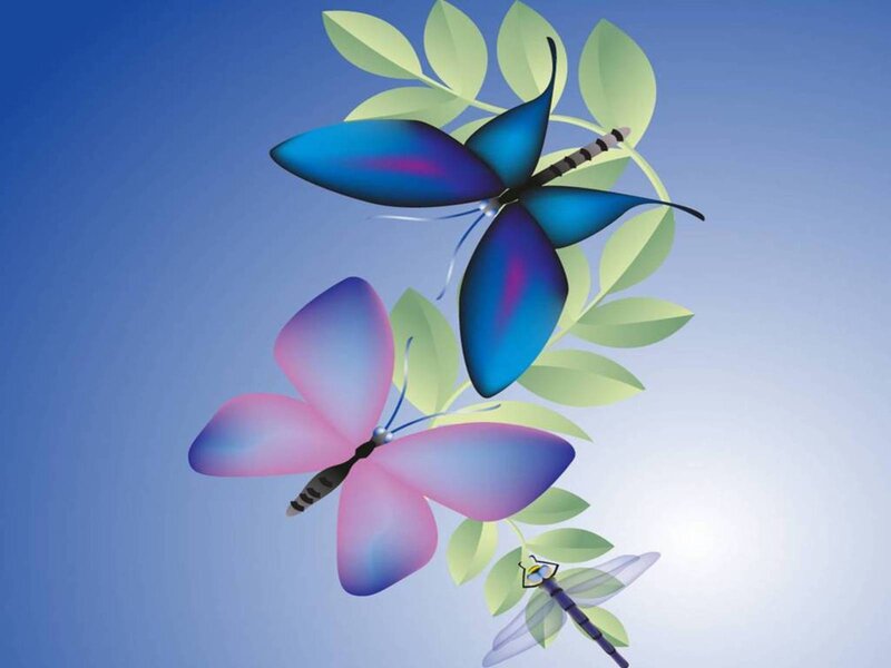 Butterflies and Dragonfly