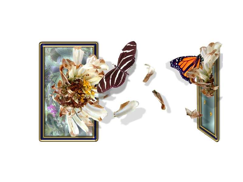 Butterflies and Dried Flowers