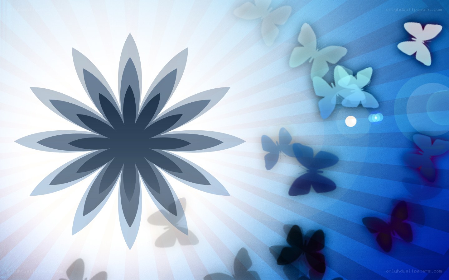 butterflies and flower design