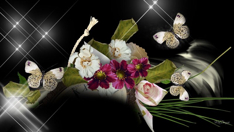 Butterflies and Flowers — Black, Dramatic