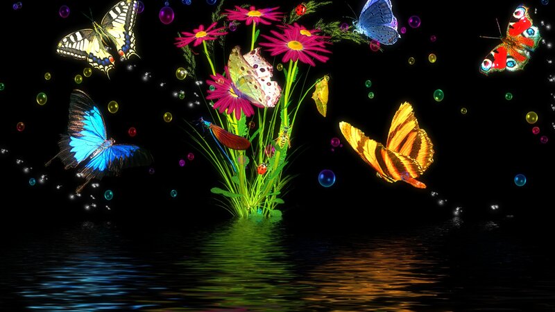 Butterflies and Flowers — Black, Dreamy, Night