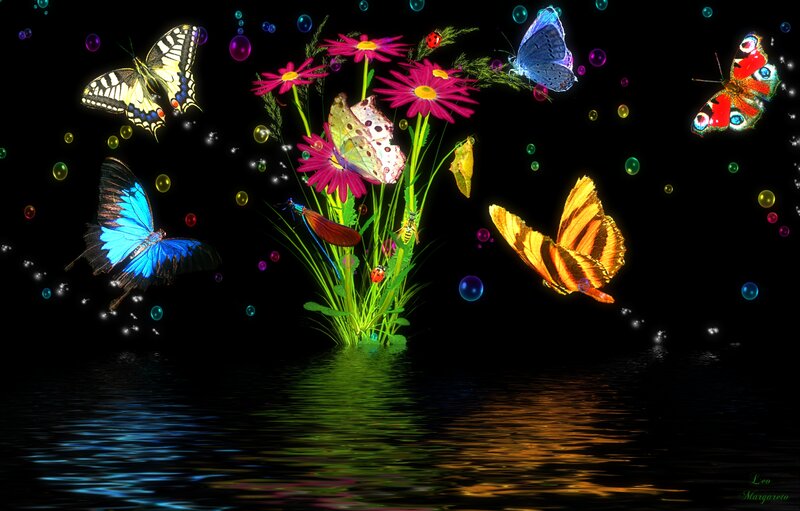 Butterflies and Flowers — Black, Magical