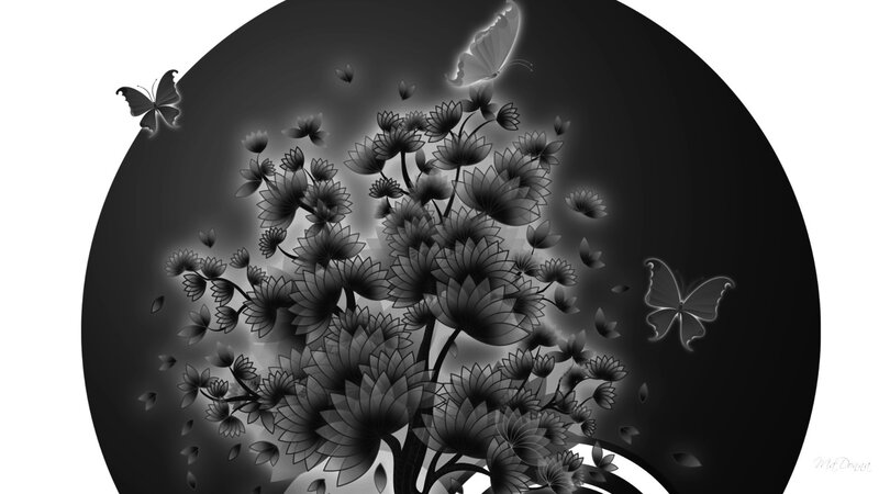 Butterflies and Flowers — Black