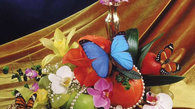Butterflies and Flowers — Blue, Dramatic, Photograph