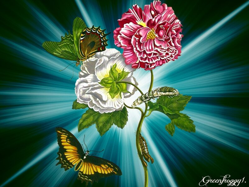 Butterflies and Flowers — Blue, Dramatic