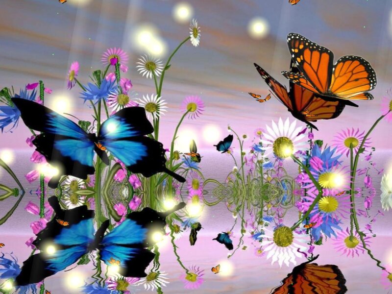 Butterflies and Flowers — Blue, Serene, Sunset