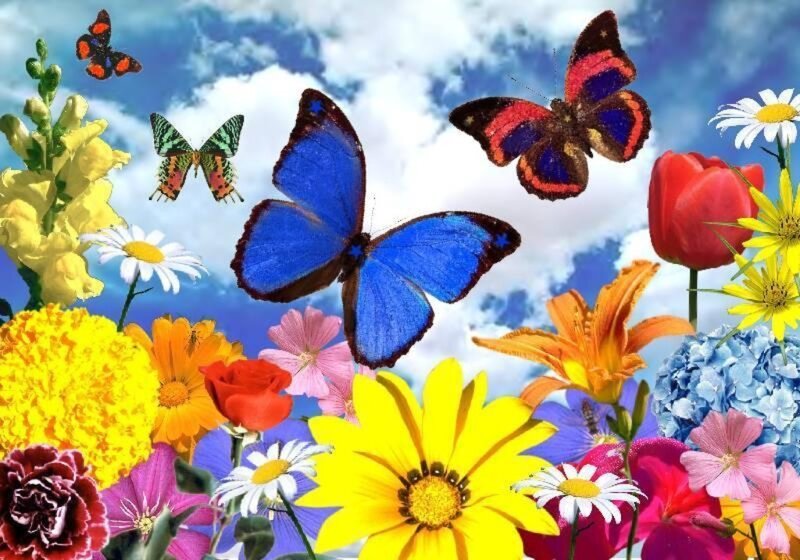 Butterflies and Flowers — Blue, Vibrant