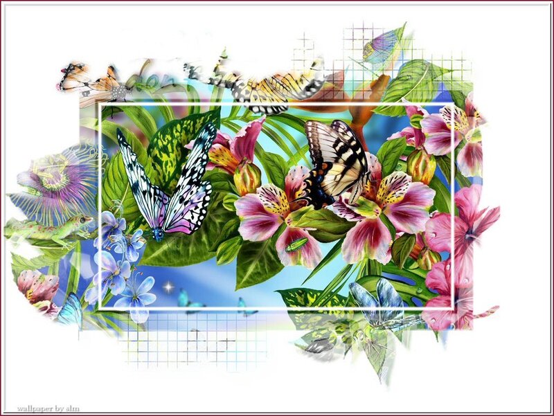 butterflies and flowers collage