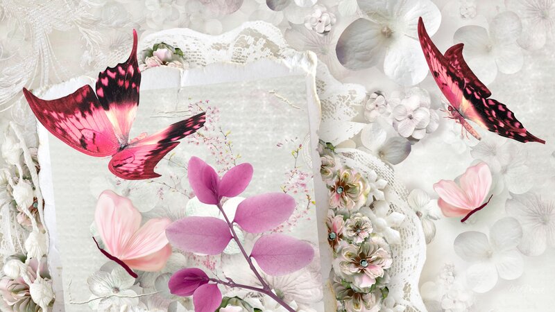 Butterflies and Flowers Collage — Pink