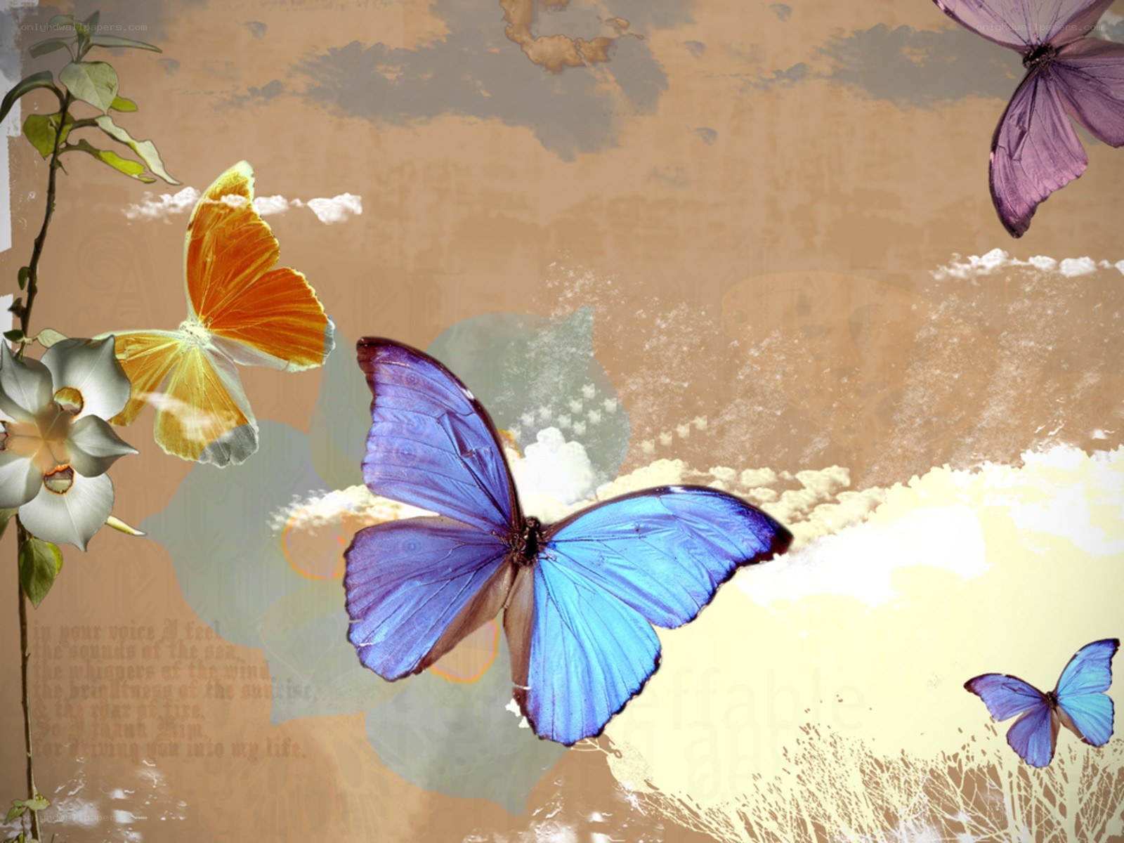 butterflies and flowers collage