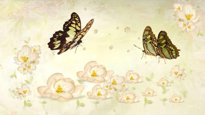Butterflies and Flowers — Cream