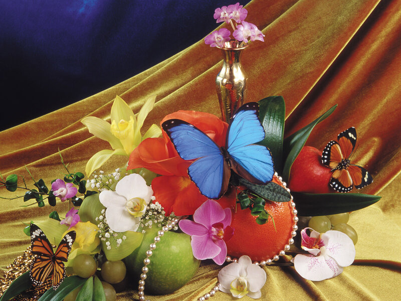 Butterflies and Flowers — Gold