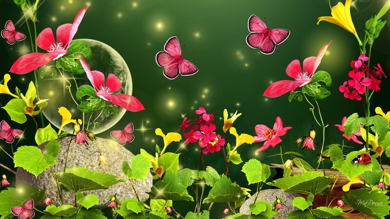 Butterflies and Flowers — Green, Magical, Night