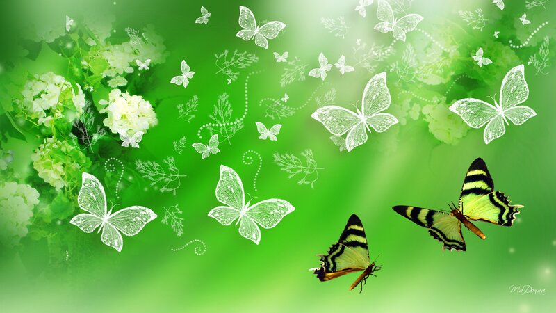Butterflies and Flowers — Green, Serene, Spring