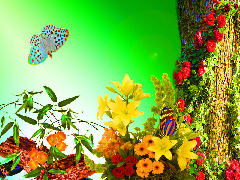 Butterflies and Flowers — Green, Vibrant