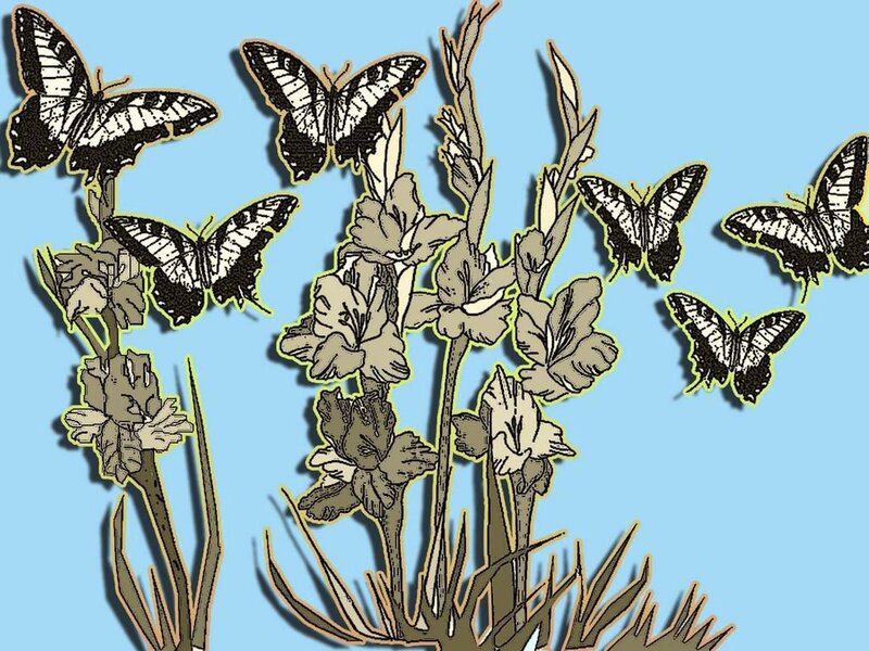butterflies and flowers illustration