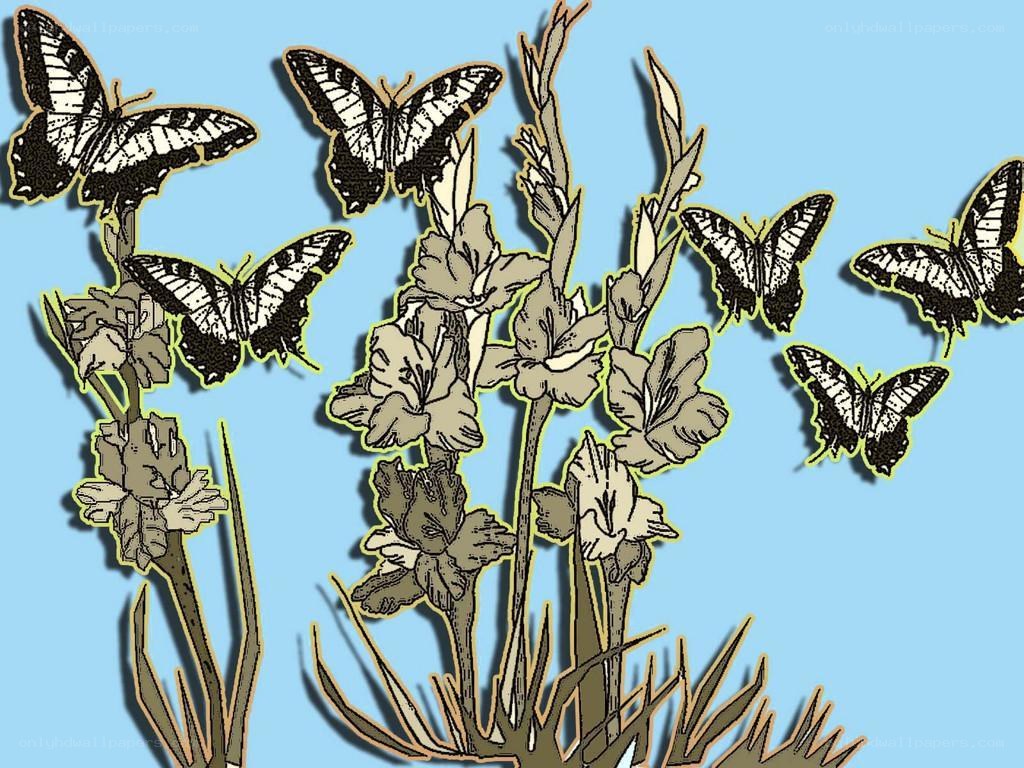 butterflies and flowers illustration