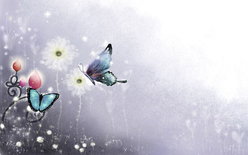 butterflies and flowers in a dream