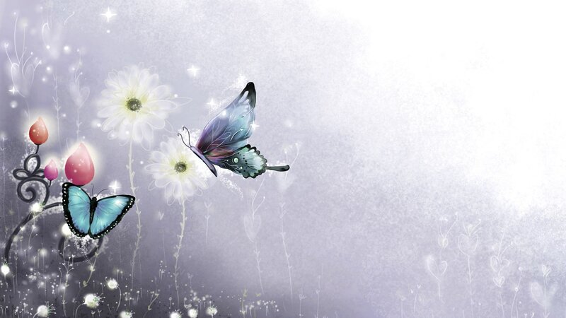 butterflies and flowers in a dream