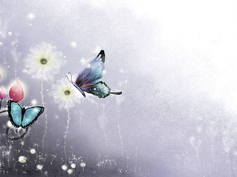 butterflies and flowers in a dream
