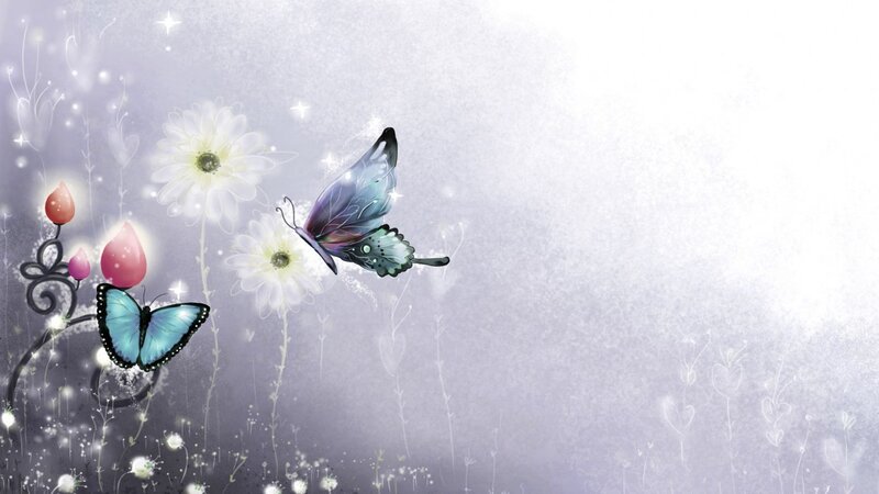 butterflies and flowers in a dream