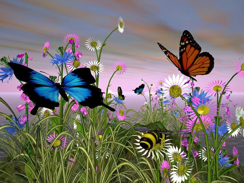 butterflies and flowers in a meadow